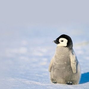 Meet your Posher, Kay